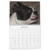 パイパー及びPinocchio 2009年 カレンダー (3月 2027)