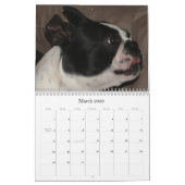 パイパー及びPinocchio 2009年 カレンダー (3月 2026)