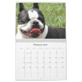 パイパー及びPinocchio 2009年 カレンダー (2月 2026)