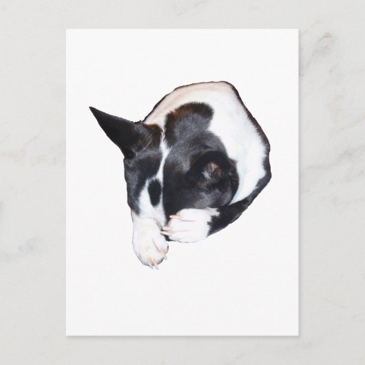 パイパー – スリープ ポストカード (正面)