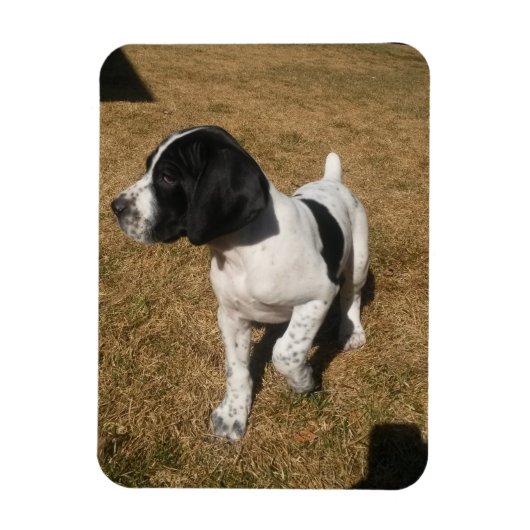 パイパー マグネット (縦)