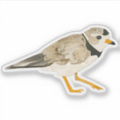 パイピングプローバ シール (正面)