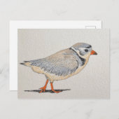 パイピングプローバ ポストカード (正面/裏面)