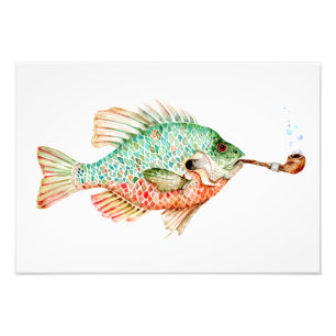 パイプを使用した魚 フォトプリント