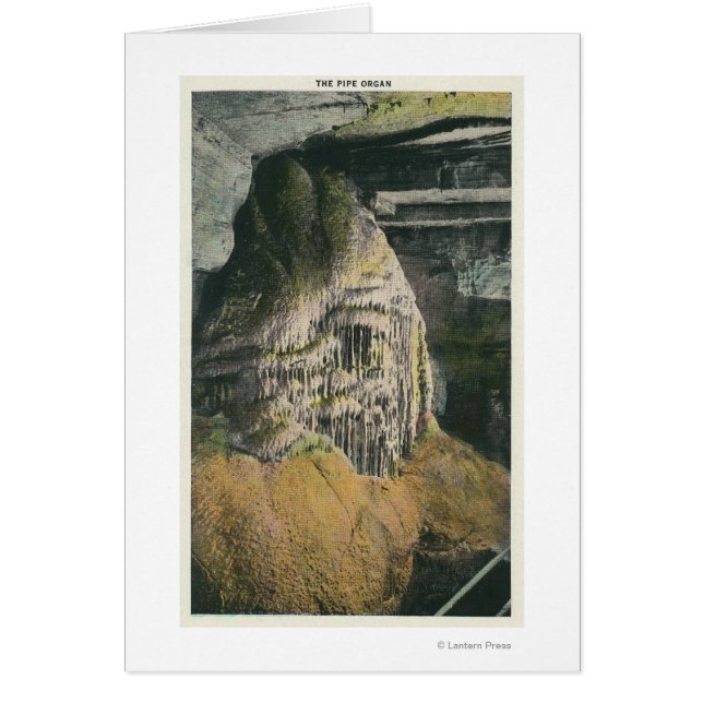 パイプオルガンの表示 (正面)