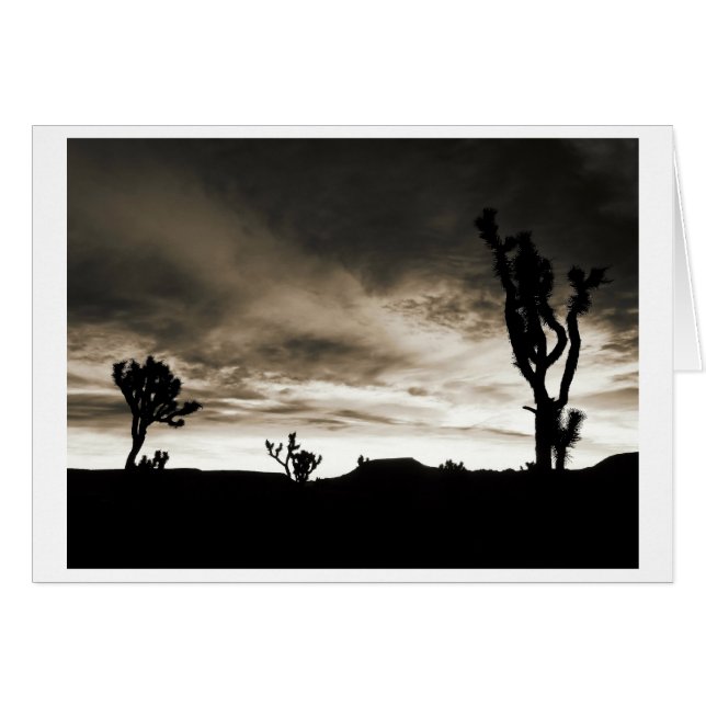 パイプキャニオン (正面横)