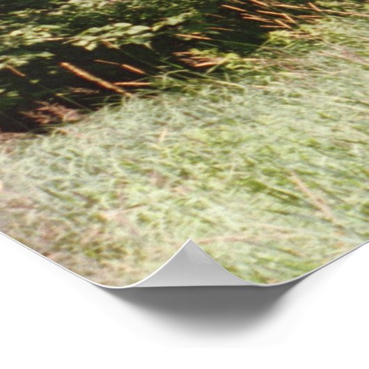 パイプラインの通行権 ポスター (角)