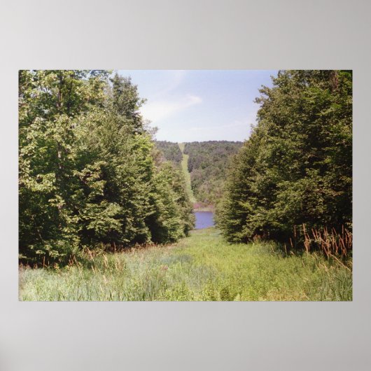 パイプラインの通行権 ポスター (正面)