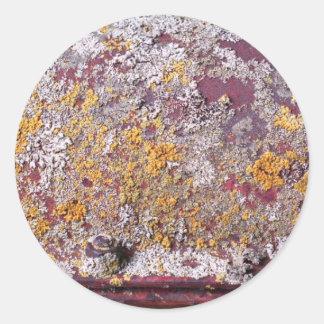 パイプ成長シール ラウンドシール