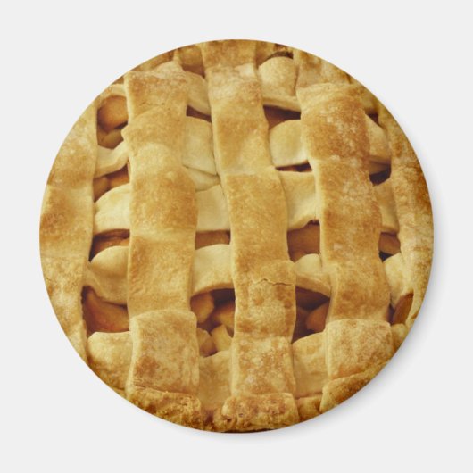 パイマグネット マグネット (正面)