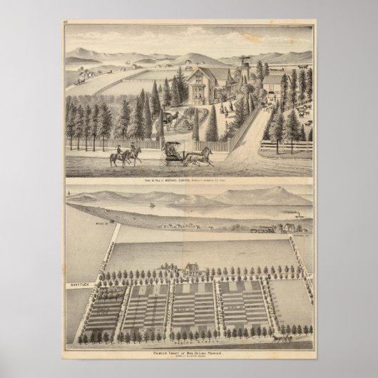 パイリア路カーチスファーム ポスター (正面)