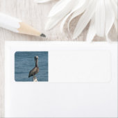 パイリングのペリカン ラベル (インサイチュ)