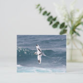 パイルエンキュー ポストカード (スタンド正面)