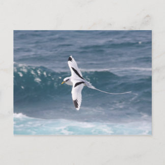 パイルエンキュー ポストカード