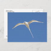 パイルエンキュー ポストカード (正面/裏面)