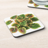 パイレリーフプラスチックコースター コースター (左側)