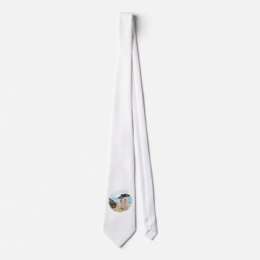 パイレーツウェスティー ネクタイ (正面)