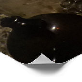 パイレーツケーブ ポスター (角)