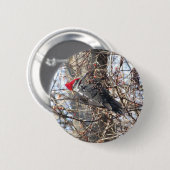 パイレーテッドウッドペッカーボタン 缶バッジ (正面&裏面)