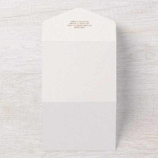 パイロットお洒落テディベア赤ちゃんシャワー オールインワン招待状 (外側)