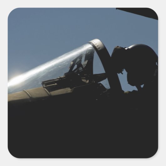 パイロットが離陸の準備をする スクエアシール (正面)