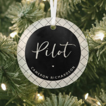 パイロットカスタム航空学校の卒業エレガント