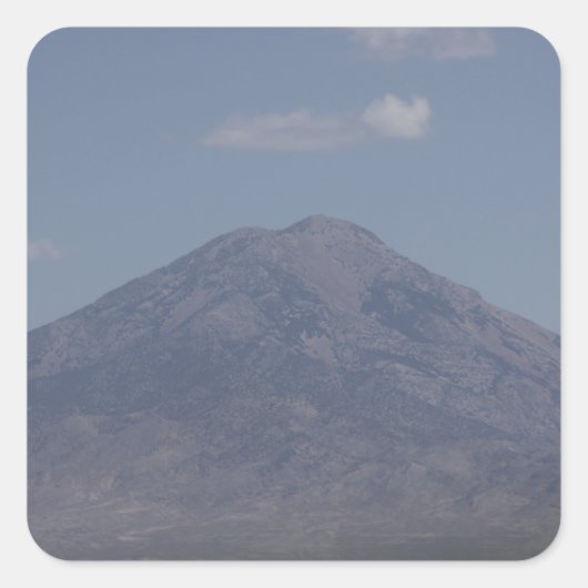 パイロットピークステッカー スクエアシール (正面)