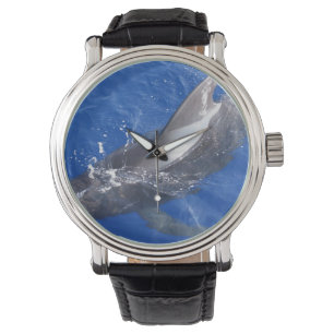 パイロットホエールインハワイ 腕時計