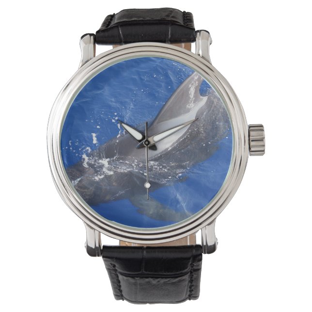 パイロットホエールインハワイ 腕時計 (正面)