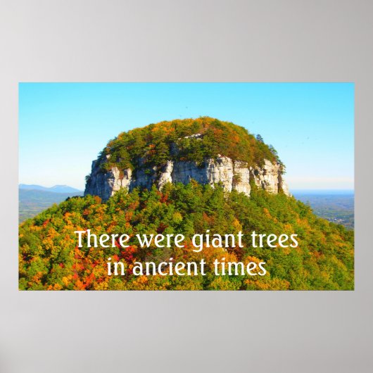 パイロット山の風景樹 ポスター (正面)