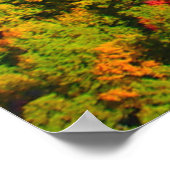 パイロット山の風景樹 ポスター (角)