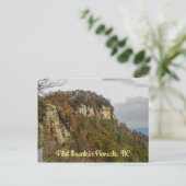 パイロット山秋水平はがき ポストカード (スタンド正面)