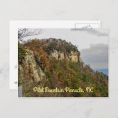 パイロット山秋水平はがき ポストカード (正面/裏面)