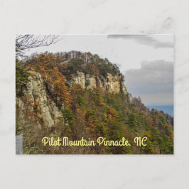 パイロット山秋水平はがき ポストカード