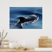 パイロット鯨 ポスター (キッチン)