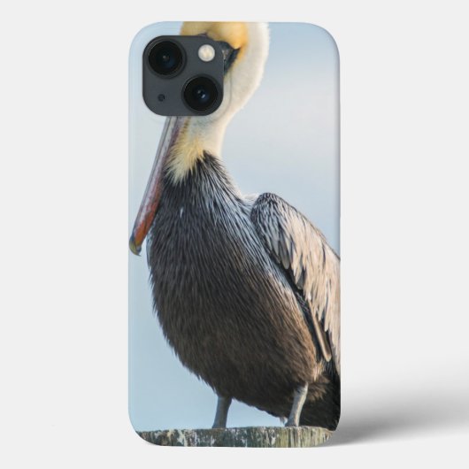 パイロンにとまるペリカン Case-Mate iPhoneケース (裏面)