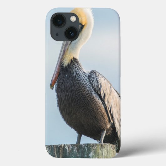 パイロンにとまるペリカン Case-Mate iPhoneケース (裏面)