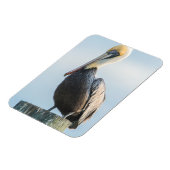 パイロンに覆われたペリカン マグネット (左側)