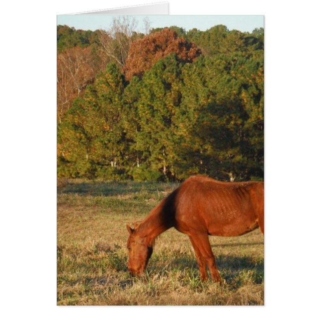 パインの木がある茶色の馬 (正面)