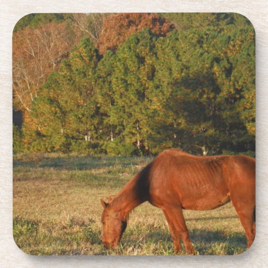 パインの木がある茶色の馬 コースター (正面)
