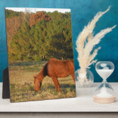 パインの木がある茶色の馬 フォトプラーク (側面)