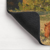 パインの木がある茶色の馬 マウスパッド (コーナー)