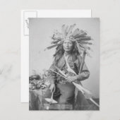 パインインディアン扇動者 ポストカード (正面/裏面)