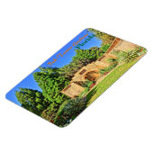 パインウッドエステートファウンテンボックタワーガーデンズフロリダ マグネット (左側)