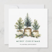 パインエレガントツリーのクリスマス企業の挨拶 シーズンカード (正面)