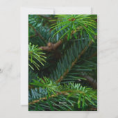 パインエレガントレッドボウクリスマス写真 シーズンカード (裏面)