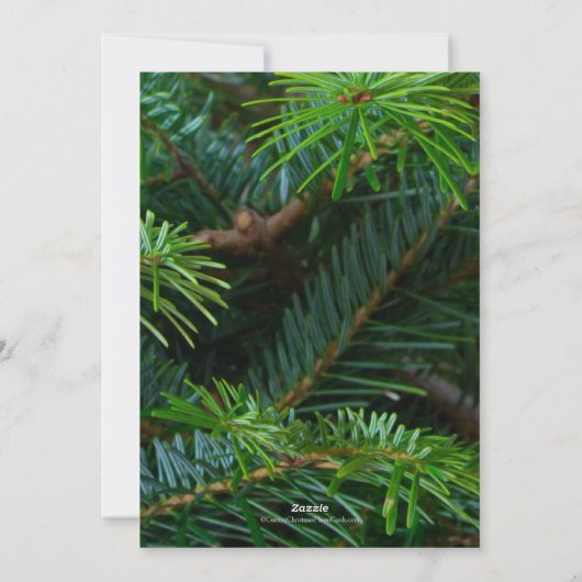 パインエレガントレッド弓の宗教聖書詩の写真 シーズンカード (裏面)