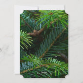 パインエレガント金ゴールドレッドボウクリスマス シーズンカード (裏面)