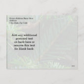 パインエレガント金ゴールドレッドボウクリスマス シーズンポストカード (裏面)