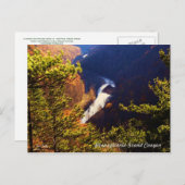 パインクリークゴージェオーバービューアットザパグランドキャニオン ポストカード (正面/裏面)